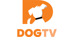 Dog TV